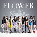 forget-me-not (Regular Edition) [CD]