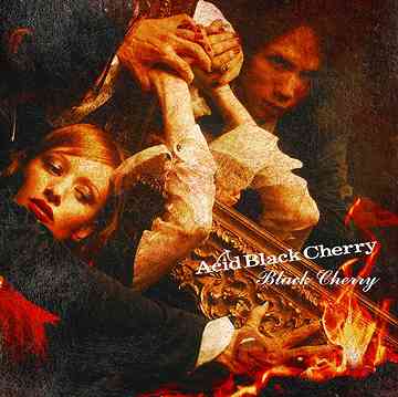 Black Cherry / Acid Black Cherry