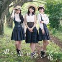Omoidasenai Hana (Type C) [CD+DVD]