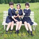 Omoidasenai Hana (Type D) [CD+DVD]