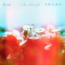 Life is beautiful / HiDE the BLUE [CD+DVD]