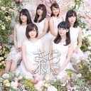 Sakura no ki no shita de (Type H) [CD]