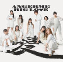 Big Love [CD]