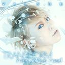 Transform / marvelous road / VALSHE