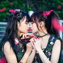 Pinky! Pinky! / The Idol Formerly Known As LADYBABY