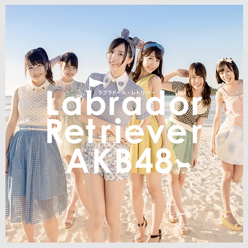 Labrador Retriever / AKB48