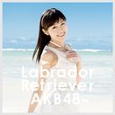 Labrador Retriever (Type 4) (Regular Edition) [CD+DVD]