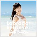 Labrador Retriever / AKB48