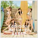 Labrador Retriever / AKB48