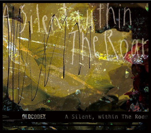 A Silent, within The Roar / OLDCODEX