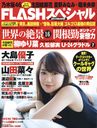 FLASH Special 2015 GW Issue / Kobunsha