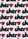 Cher Techo (Diary) 2011 / Takarajimasha / Cher