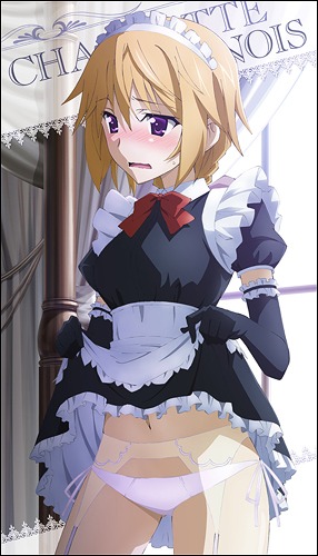 IS (Infinite Stratos) Charlotte Dunois Maid clothes ver Large Towel / 