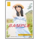 SKE48 Sleeve Collection Rena Matsui / Character Goods