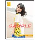 SKE48 Sleeve Collection Akane Takayanagi / Character Goods