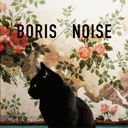 Noise / BORIS