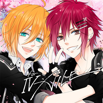 IV(for) Aile / MARGINAL#4