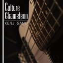 Culture Chameleon / Kenji Sano