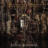 Schwarz Stein