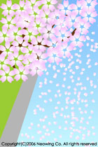 Flower3