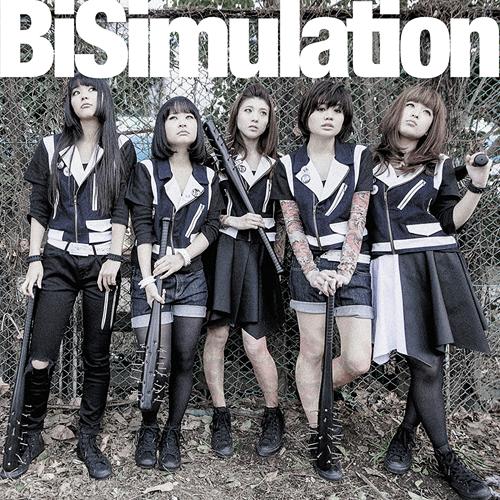 BiSimulation / BiS