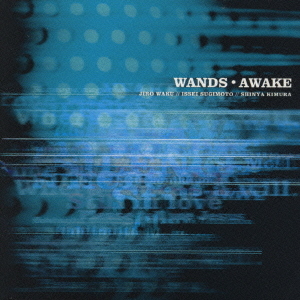 AWAKE / WANDS