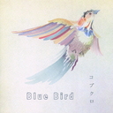 Blue Bird / Kobukuro