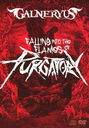 Falling Into The Flames Of Purgatory / GALNERYUS